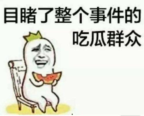 吃瓜群众在七零 穿书,吃瓜群众穿书记